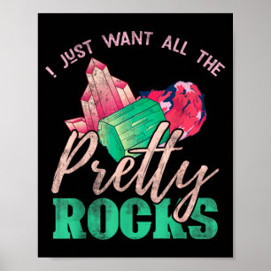 Póster Regalo Coleccionista de Rocas Paleontólogo Diverti