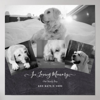Póster Regalo conmemorativo de perro de la foto - Collage