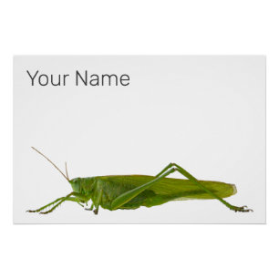 Póster Regalo de animales de los insectos de Grasshopper 