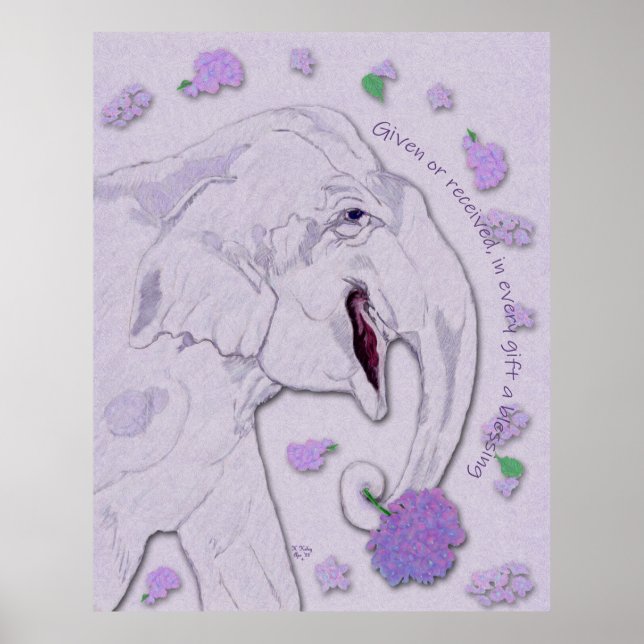 Póster Regalo de elefante blanco (Frente)