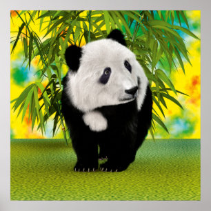 Póster Regalo de oso panda adorable Kawaii para amantes d