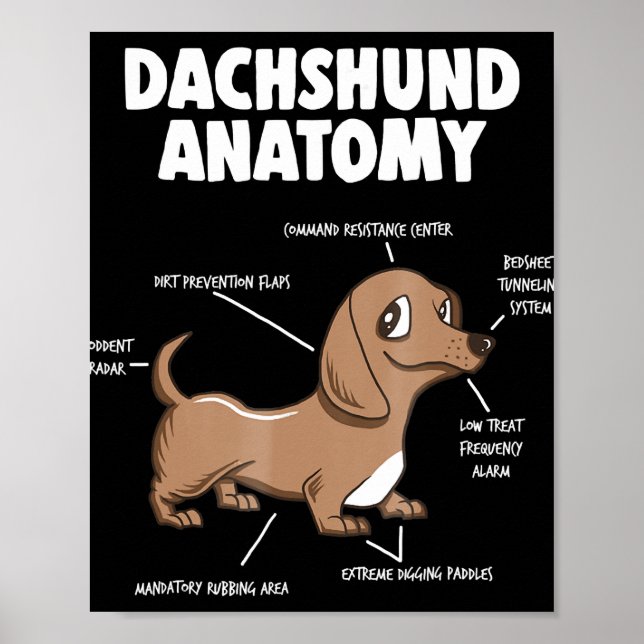 Póster Regalo de perro | Anatomía Dachshund Funny Weiner (Frente)