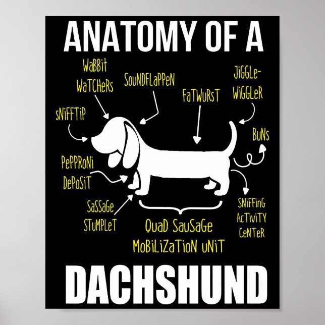 Póster Regalo de perro | Anatomía De Dachshund (Frente)