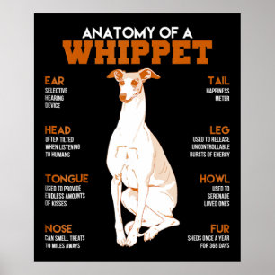 Póster Regalo de perro anatomía de un perro fantasma co