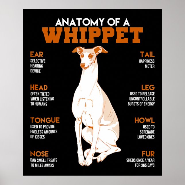 Póster Regalo de perro | anatomía de un perro fantasma co (Frente)