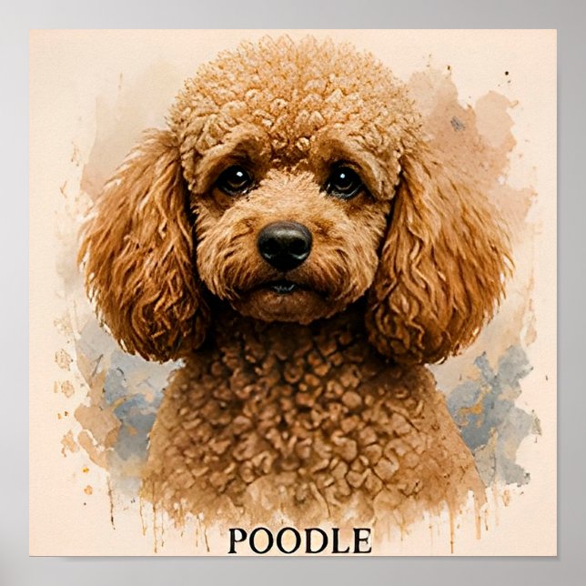 Póster Regalo para Amante de Perros Caniche (Frente)