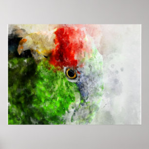 Póster Regalo Parrot Parrot Verde Parakeet Art Watercolor