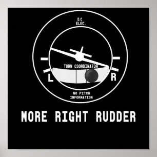 Póster Regalo piloto del instructor de vuelo Cfi de Rudde
