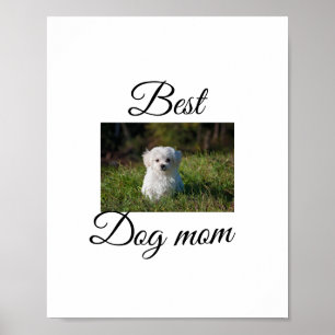Póster Regalo simple y colorido para mamá de perro con no