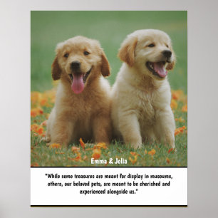 Póster Regalo único para amantes de los perros, Impresion