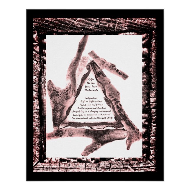 Póster Regalos De Animales (Anverso)