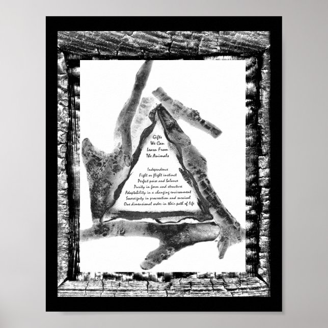 Póster Regalos De Animales (Frente)