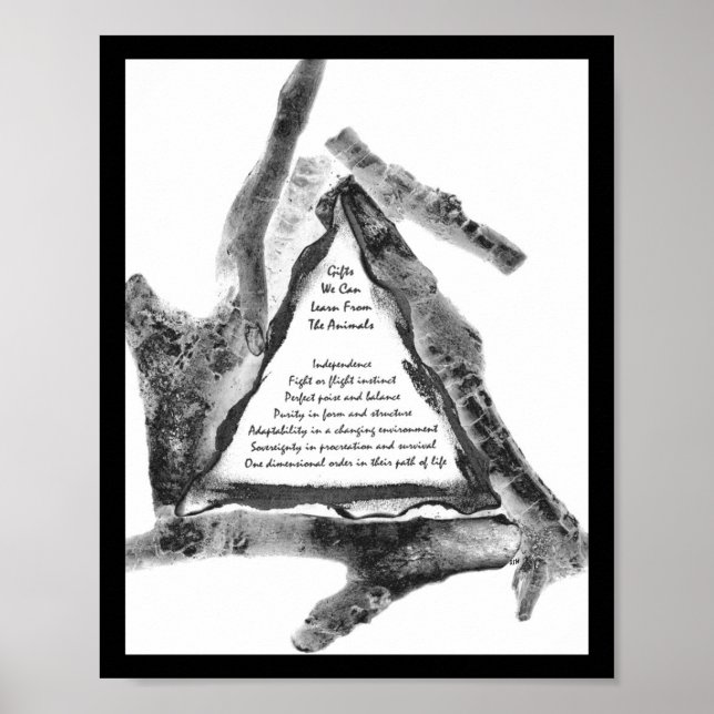 Póster Regalos De Animales (Frente)