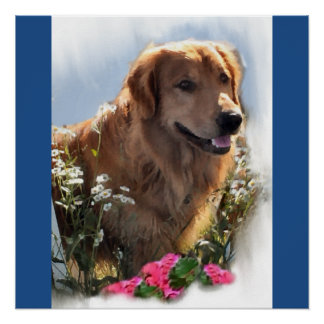 Póster Regalos de arte de Golden Retriever