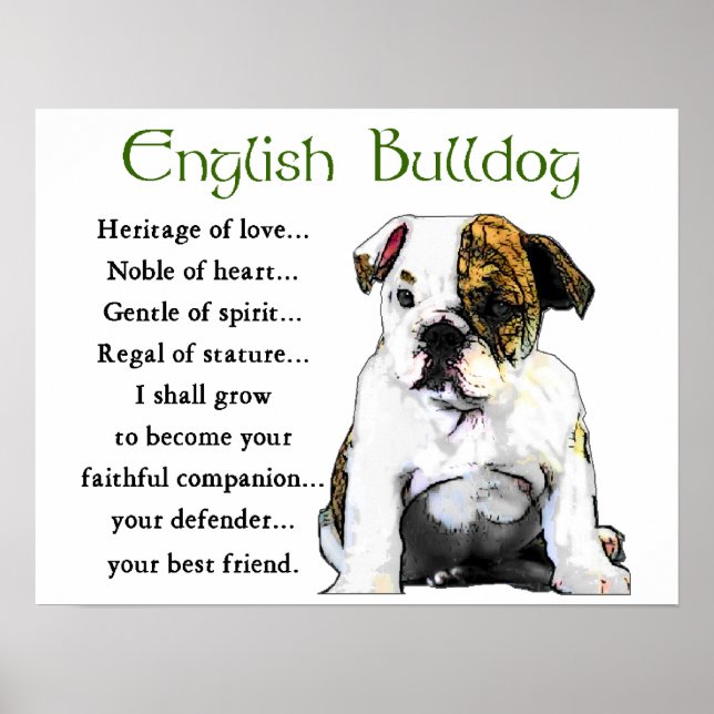 Póster Regalos de Bulldog en inglés (Frente)