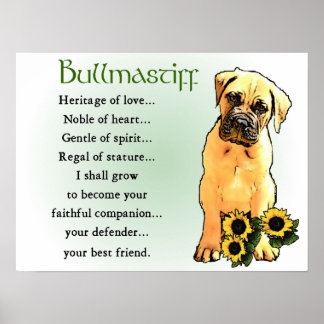 Póster Regalos de bullmastiff