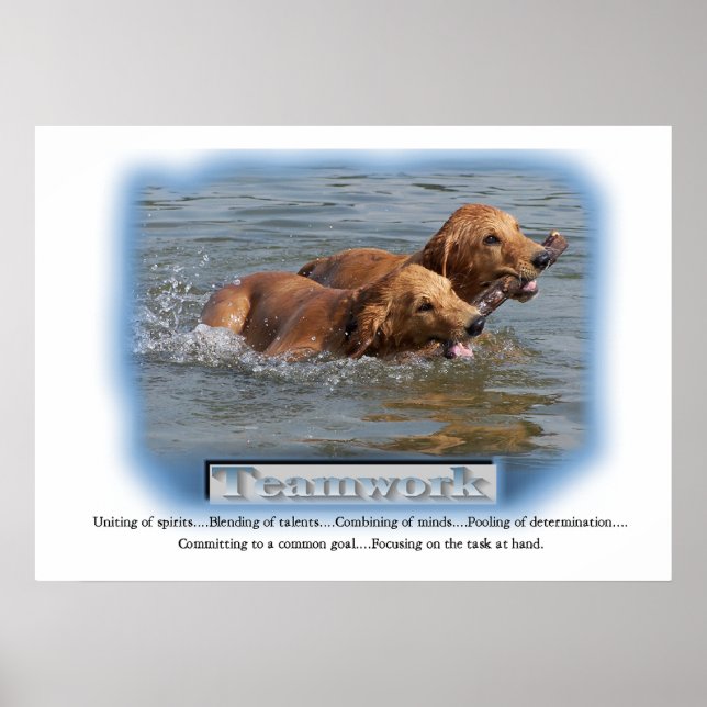 Póster Regalos de Golden Retriever (Frente)
