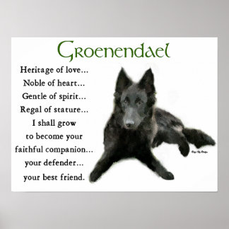 Póster Regalos de perro pastor belga Groenendael