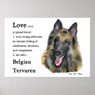 Póster Regalos de Tervuren de Bélgica