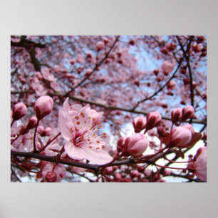 Póster REGALOS DÍA DE LA MADRE Estampados Artísticos Flor
