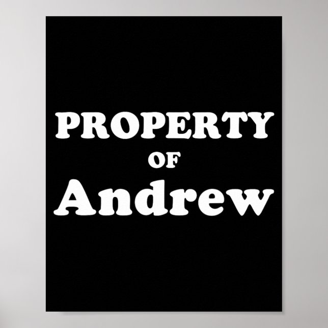 Póster Regalos Divertidos de Despedida de Soltera para No (Frente)