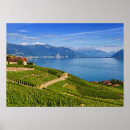 Póster Región de Lavaux, Vaud, Suiza