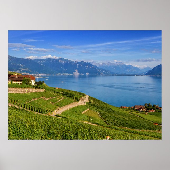 Póster Región de Lavaux, Vaud, Suiza (Frente)