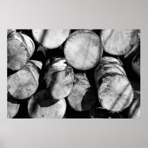Póster Registros de birch