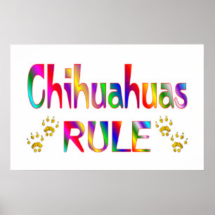 Póster Regla de Chihuahuas
