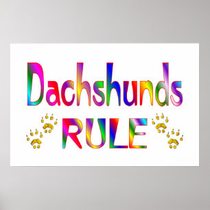 Póster Regla de Dachshunds