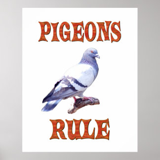Póster Regla de las palomas