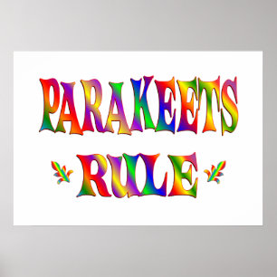 PÓSTER REGLA DE LOS PARAKEETS