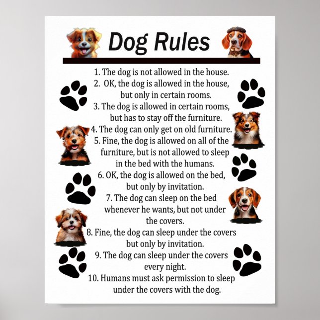Póster Reglas de perro - Por un perro fabuloso en casa (Frente)