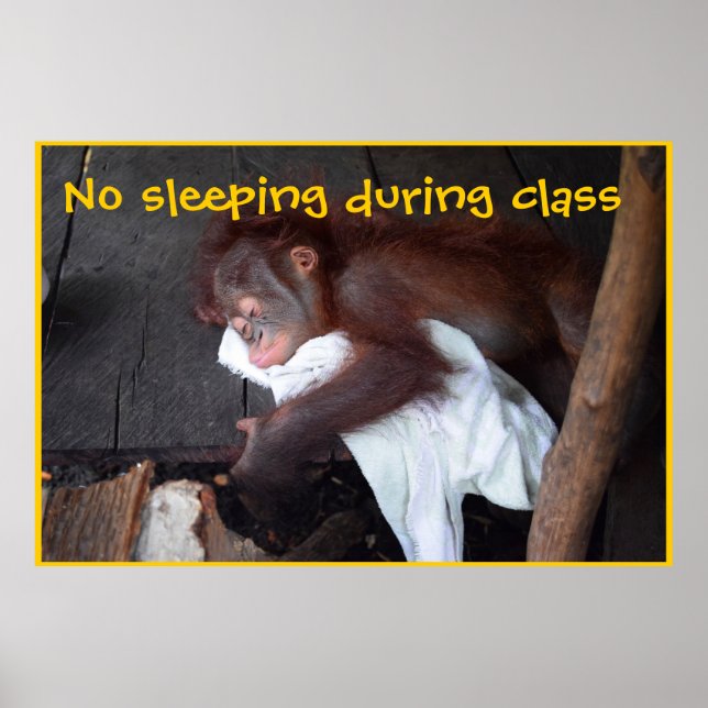 Póster Reglas del aula de profesores (Frente)