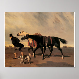 Póster Regreso de la carrera, Aldred De Druex