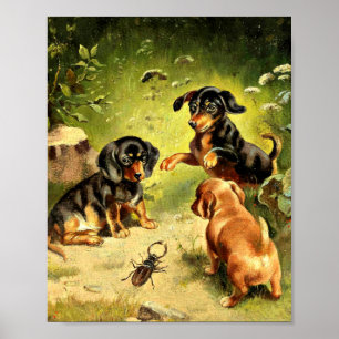 Póster Reichert - Dachshund cachorros en juego