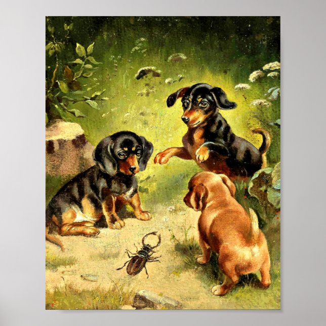 Póster Reichert - Dachshund cachorros en juego (Frente)