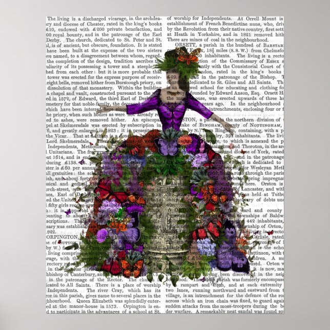 Póster Reina de la casa de mariposas (Frente)