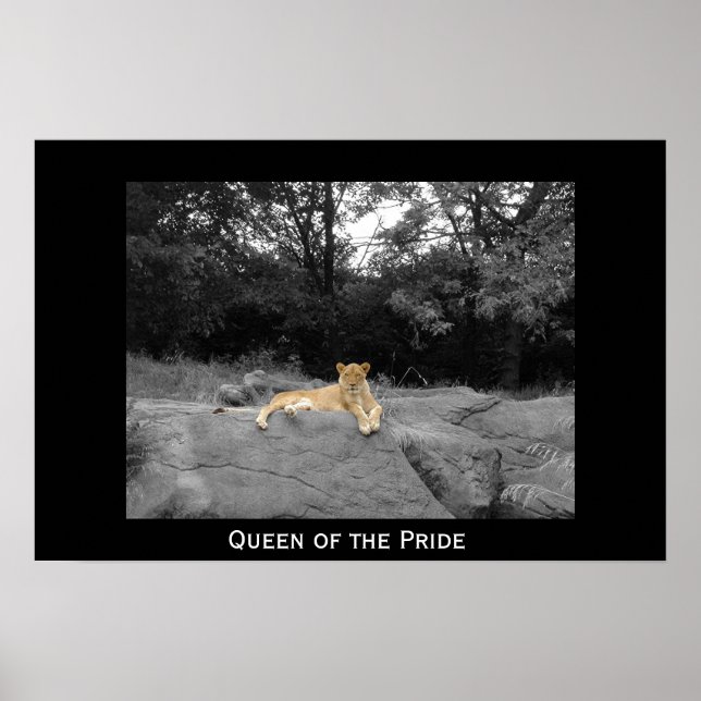 Póster Reina del orgullo (Frente)