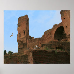 Póster Reino de las Gaviotas