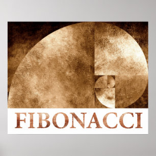 Póster Relación dorada, espiral fibonacci