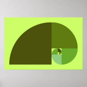 Póster Relación dorada, espiral fibonacci