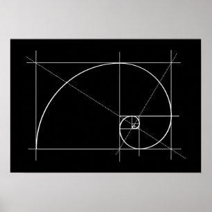 Póster Relación dorada, espiral fibonacci, dibujo