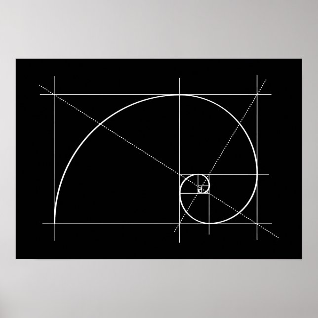 Póster Relación dorada, espiral fibonacci, dibujo (Frente)