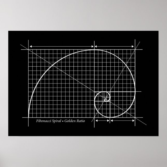 Póster Relación dorada, espiral fibonacci, dibujo (Frente)