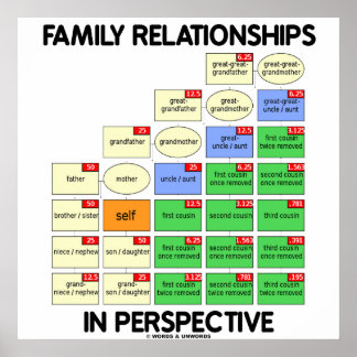 Póster Relaciones Familiares En Perspectiva (Reunión)