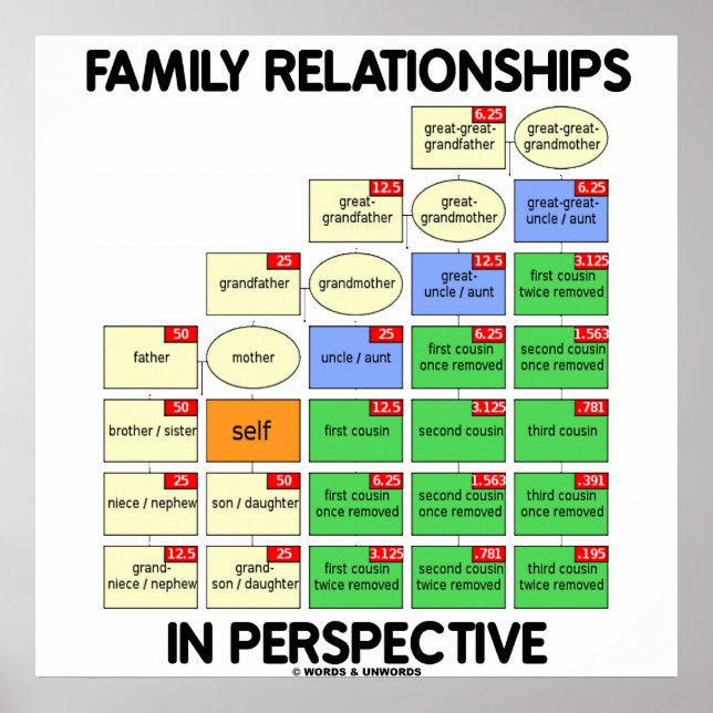 Póster Relaciones Familiares En Perspectiva (Reunión) (Frente)