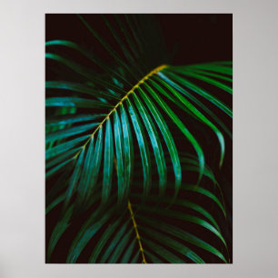 Póster Relajación de hoja de palma tropical del verde