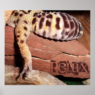 Póster "Relájate" Poster de Lizard Leopard Gecko