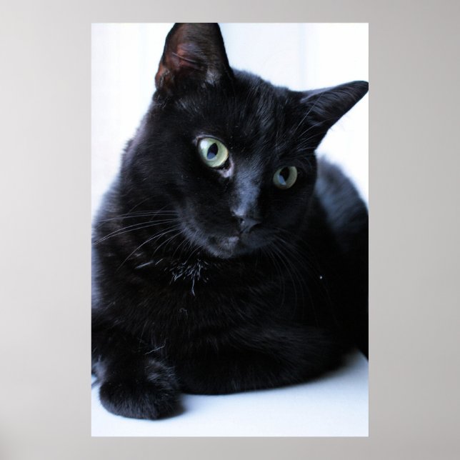 Póster Relaxina (Frente)